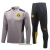 BVB Borussia Dortmund Trainings Sweatshirt Pak Quarter-zip 2022-23 Lichtgrijze - Heren